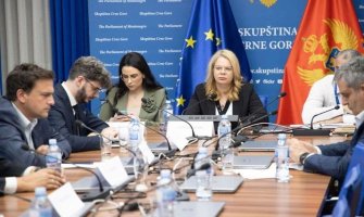 Traže mišljenje Evropske i Venecijanske komisije