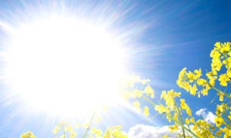 Sunčano, na sjeveru popodne malo oblačno, do 41 stepen