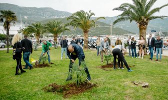 URA u Budvi akcijom sadnje drveća obilježila Dan planete Zemlje