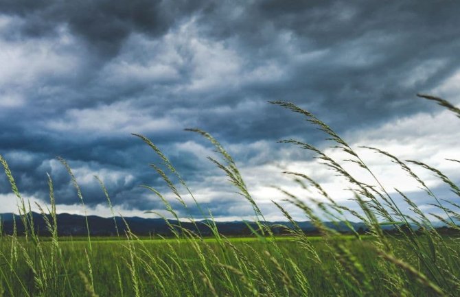 Sjutra povremeno kiša, pljuskovi i grmljavina, najviša dnevna temperatura do 24 stepena