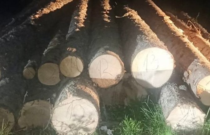Nova zaplijena bespravne građe u Beranama