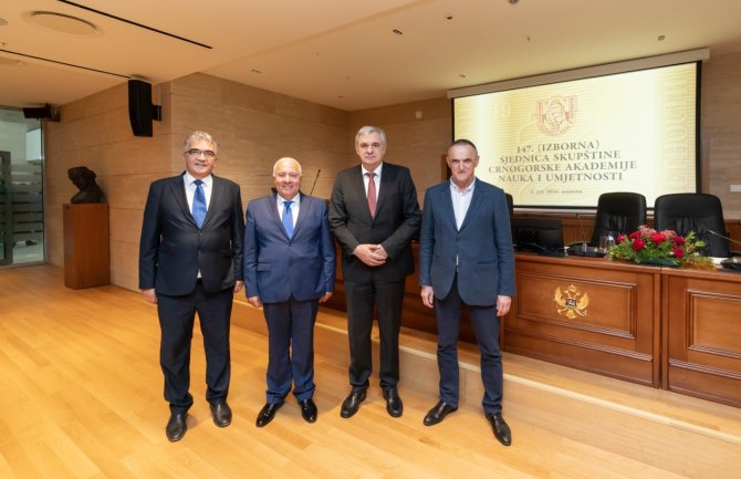 Ljubiša Stanković novi predsjednik CANU