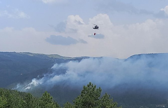 Blečić: Kiša ugasila sve požare na teritoriji Podgorice