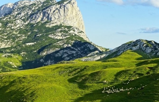 Raniji otkup mesa bio bi dobar potez, turisti vole naše proizvode