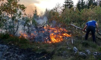 Požar u Prošćenskim planinama u Mojkovcu pod kontrolom, gori i u NP Biogradska gora