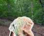 KO BI REKAO DA SE OD OVE BILJKE MOŽE ZGRNUTI BRDO PARA! Raste na pjesku, ne treba joj zaštita, a po hekataru donosi 4.300 evra