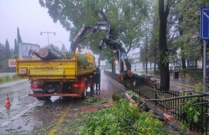 Na Bulevaru Svetog Petra Cetinjskog stablo palo na kolovoz